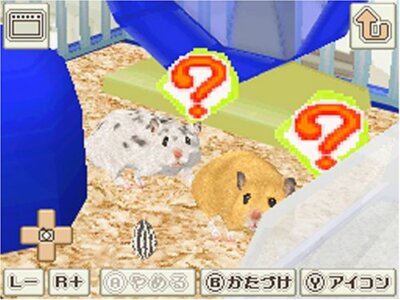 USED Nintendo DS Hamster to Kurasou 28700 JAPAN IMPORT