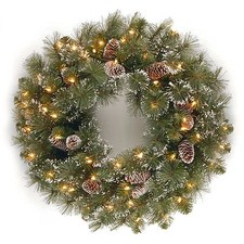 National Tree Co 24" Glittery Pine Artificial Christmas Wreath Clear Lights