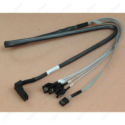 mmp様 Amazon.com: StarTech Cable SAS87431M 1m SFF-8087 to SFF-8643