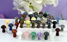 Wholesale Lot 40 PCs Mixed 1” Crystal Mushroom 🍄 Healing Energy