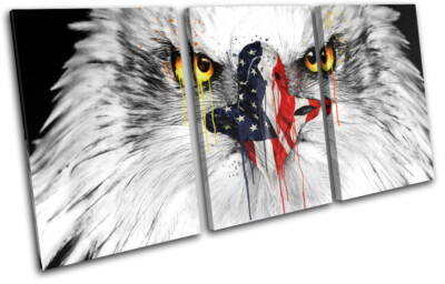 USA Eagle America Bird Animals TREBLE Leinwand Kunst Bild drucken