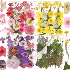 104Pcs Natural Pressed Dried Flowers Resin, Dry Flowers for Resin Accessories, D