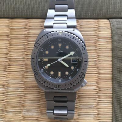 sinn diver watch