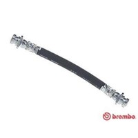 Brembo Bremsschlauch Bremsleitung Hinten Rechts FüR Toyota Auris Verso T 83 177