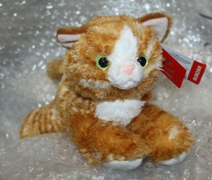 ginger tabby cat toy