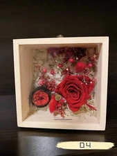 Red Rose Preserved flower Glass Clamshell Wooden Box Holiday Gift Giving