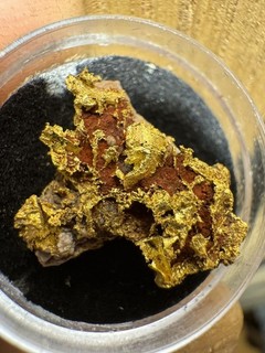 4.3 Gram Unique Australian Gold Specimen