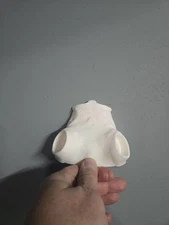 Deer Skull Cap Pop And Lock Wall Mount 3d Printed Antler Mount Hunting Trophy