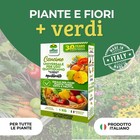 Foto 2 di 10