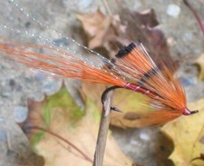 Gilchrist Fliegen. 3 Stück ALLY'S SHRIMP. Salzwasserhaken Gr.6