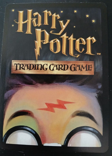 Harry Potter TCG 'Adventures at Hogwarts' Rare, Commons and Uncommon - You Pick!