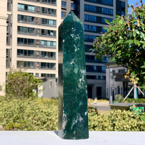 Pianta acquatica geode naturale 2,72 libbre erba muschio agata obelisco cristallo Reiki - Foto 17 di 24