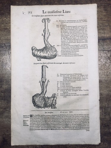 Gastroenterologist 1614 Medicine Stomach Engraving Doctor Surgery Ambroise Paré - Picture 4 of 7