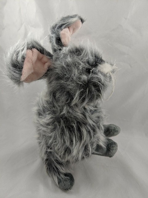 miniature angora rabbit