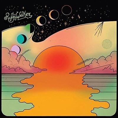 Golden Sings That Have Been Sung - Ryley Walker CD