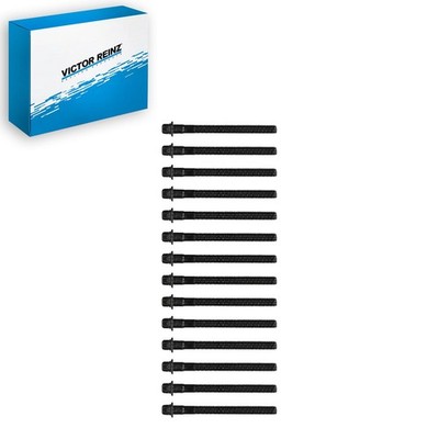 Victor Reinz Engine Cylinder Head Bolt Set For 2004-2006 BMW X3