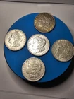 Morgan Silver Dollar XF Lot of 5 Coins 1884‑P, 1889‑P, 1891‑O, 1896‑P, & 1921‑D