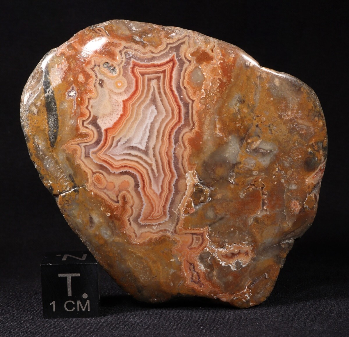 Red Orange Banded Fairburn Agate, South Dakota - 5.9 cm across