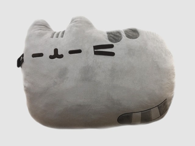 pusheen cushion