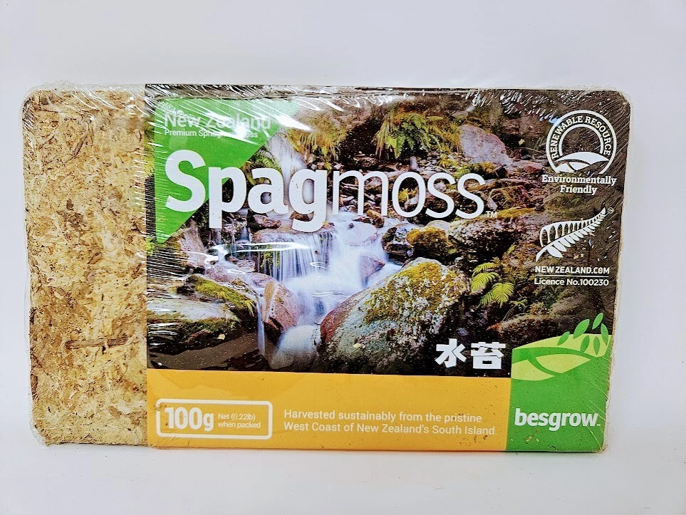 Besgrow Sphagnum Moss - Thumbnail 4