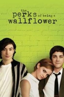 The Perks of Being a Wallflower DVD (DISC ONLY) - TESTED/PLAYS PERFECT - Free Sh
