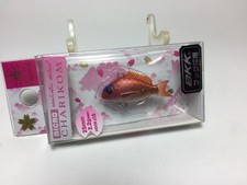 70608) Little Jack micro CHARIKOM 25S #Kiwami Madai