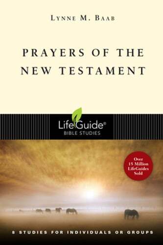 Prayers of the New Testament: 8 Studies for Individuals or Groups by Baab: Used