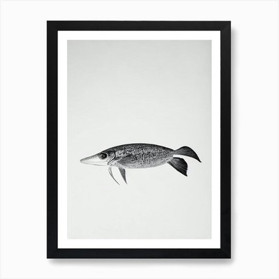 Tintenfisch schwarz-weiß Zeichnung Ar gerahmtes Wandbild Poster Leinwanddruck Bild