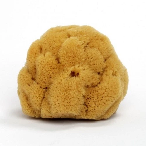 LA MAISON DU SAVON DE MARSEILLE Exfoliating Natural Sea Sponge Organic - 12cm - Maison du Savon de Marseille