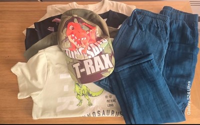 Jungen Sommer Shorts und Tshirts Paket Alter 3-4 Jahre Dinosaurier