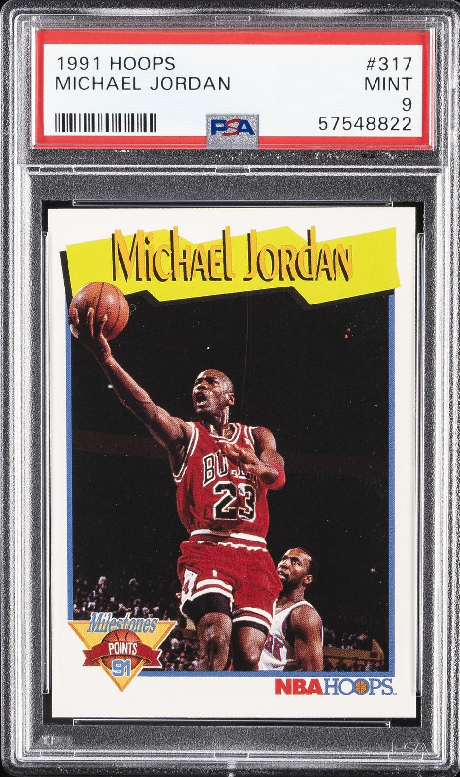 Michael Jordan #317