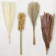 17" 100Pcs Dried Pampas Grass Decor, Naturally Small Boho Pampas Grass with Bunn
