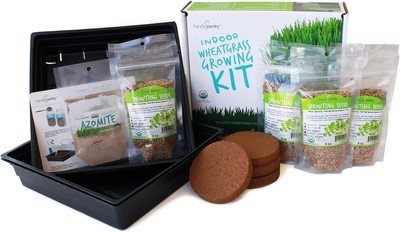 Organic Wheatgrass Growing Starter Kit - Grow & Juice Wheat Grass - Brown 