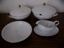 Sehr altes Porzellan: Suppen-Terrine Schüssel Seltmann Weiden Liane Gräser 23648