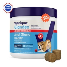 Glandex Anal Gland Soft Chew Treats 60ct Vetnique Pumpkin Dogs Digestive Enzymes