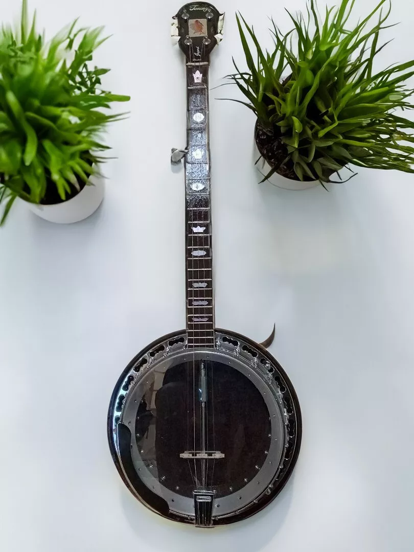 Used 5 string banjo deals