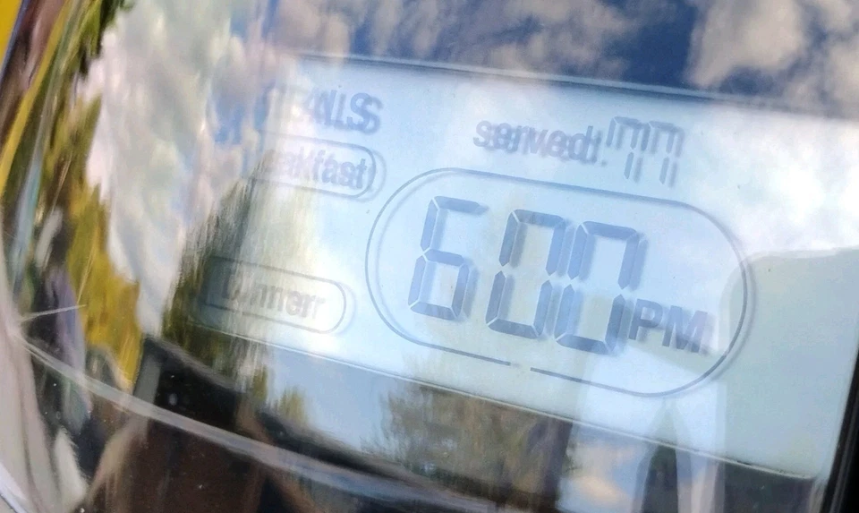 PETMATE Le Bistro Programable AUTOMÁTICO Control de Porciones ALIMENTADOR PARA MASCOTAS Tiene Capacidad 10 Lbs Foto 3 de 4