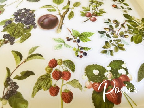 Flower Stickers Journal Diary Transparent Big Sticker AU 40 PCs Scrapbooking - Picture 14 of 45
