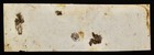 RS213a Schenck's Pulmonic Syrup US Revenue Match & Medicine Private Die — photo 2