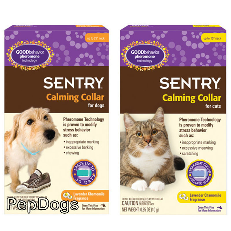 sentry good behavior