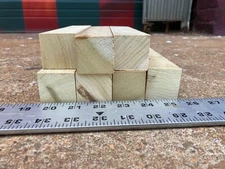 SEVEN (7)  POPLAR Turning Blanks / Blocks 8/4 Lumber  1 1/2" square