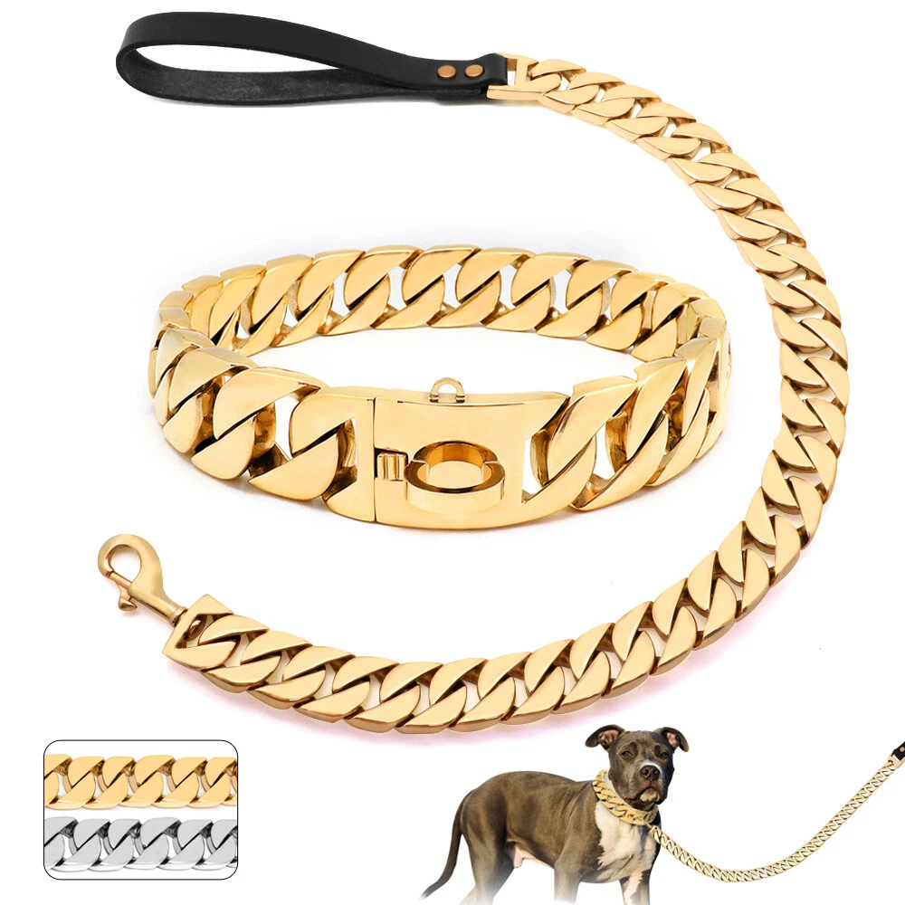 Dog chain link top