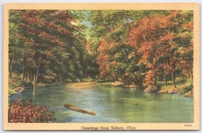 Vintage 1947 Sidney Ohio Scenic River Linen Postcard Tichnor Bros
