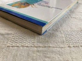 Vintage Japanese NES Famicom Ys Complete Strategy Technique Book 1st