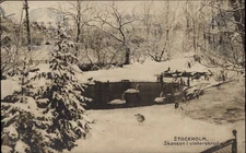 RPPC Skansen Stockholm Sweden vintage postcard m629
