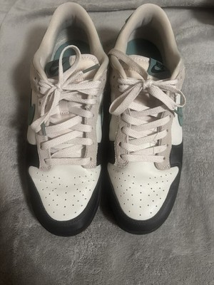 Nike Dunk Low LT Orewood BRN/BICOASTAL-CREAM II-Black HQ3483-104 Men Size 9.5
