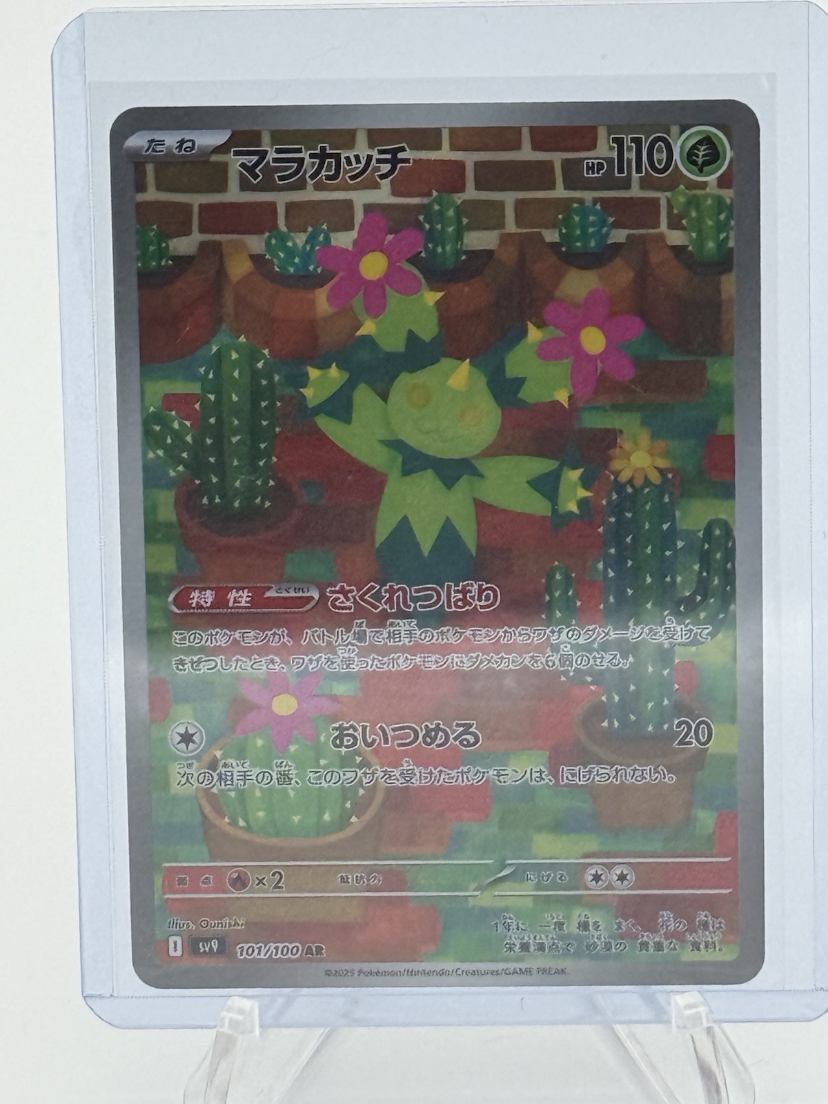 Pokemon TCG: Maractus 101/100 SV9: Battle Partners Art Rare JP NM Condition