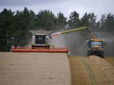 Foto A2 Austrag Getreide Greenlaw\/NT7146 Einer von zwei Claas Lexion 670er um 2014