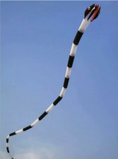 55M Long 3D Inflatable Soft Snake Kites Octopus Kites for Adults outdoor toys