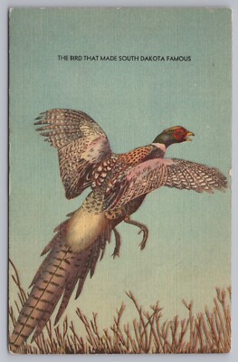 Chinese Ring Neck Pheasant Bird South Dakota Famous SD Linen Postcard Unposted